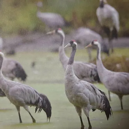 Holiday home Our House 